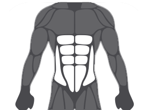 Bauch