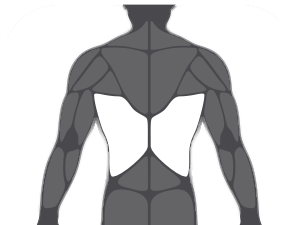 Lat